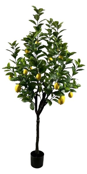 Διακοσμητικό φυτό Lemon tree Πράσινο 180x180x180 cm