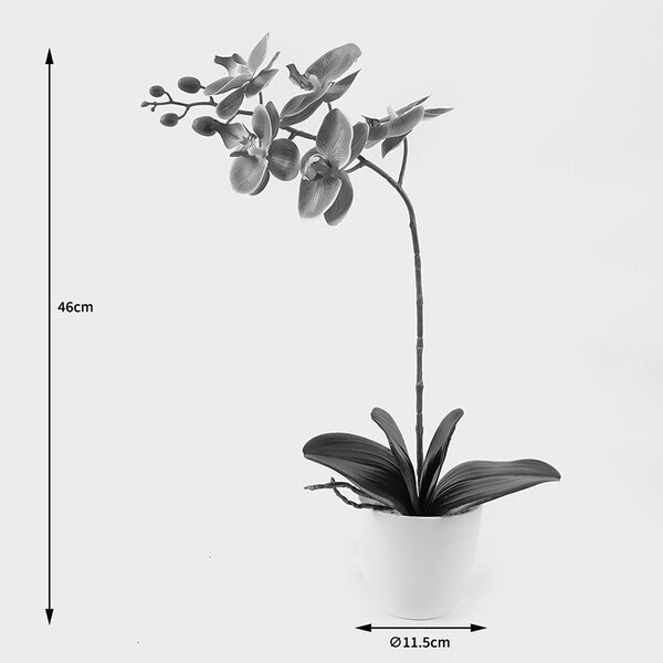Διακοσμητικό φυτό με γλάστρα Orchid Μωβ 30x13x46 cm