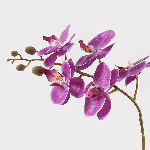 Διακοσμητικό φυτό με γλάστρα Orchid Μωβ 30x13x46 cm