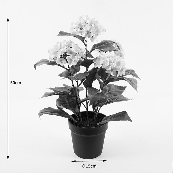 Διακοσμητικό φυτό με γλάστρα Hydrangea Πράσινο 35x35x50 cm