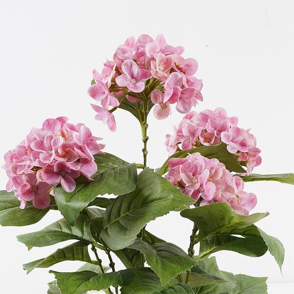 Διακοσμητικό φυτό με γλάστρα Hydrangea Απαλό Κίτρινο 35x35x50 cm