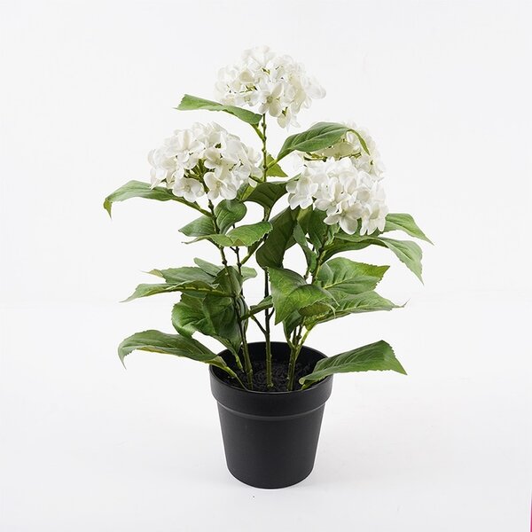 Διακοσμητικό φυτό με γλάστρα Hydrangea Πράσινο 35x35x50 cm