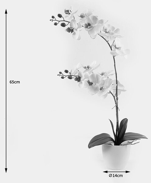 Διακοσμητικό φυτό με γλάστρα Orchid Λευκό 36x17x65 cm