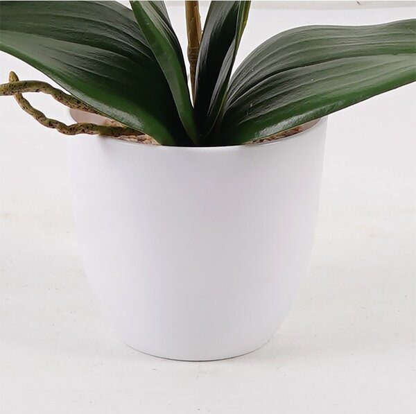Διακοσμητικό φυτό με γλάστρα Orchid Μωβ 30x13x46 cm