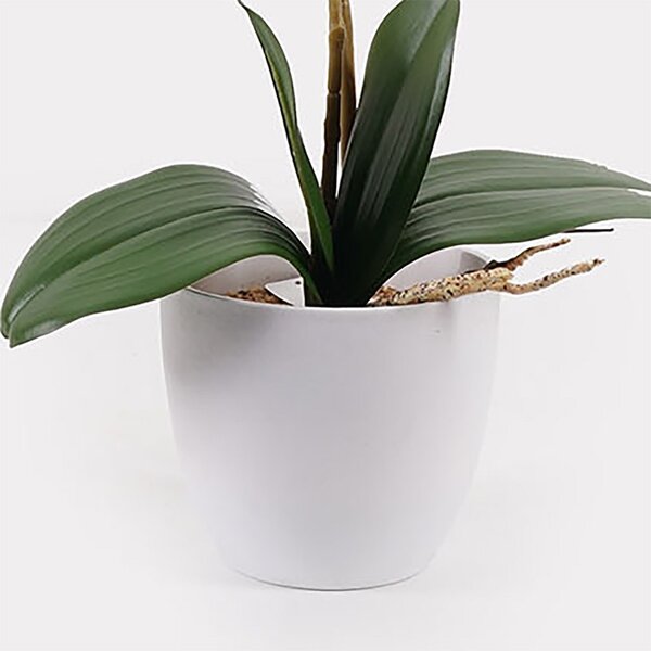 Διακοσμητικό φυτό με γλάστρα Orchid Λευκό 36x17x65 cm