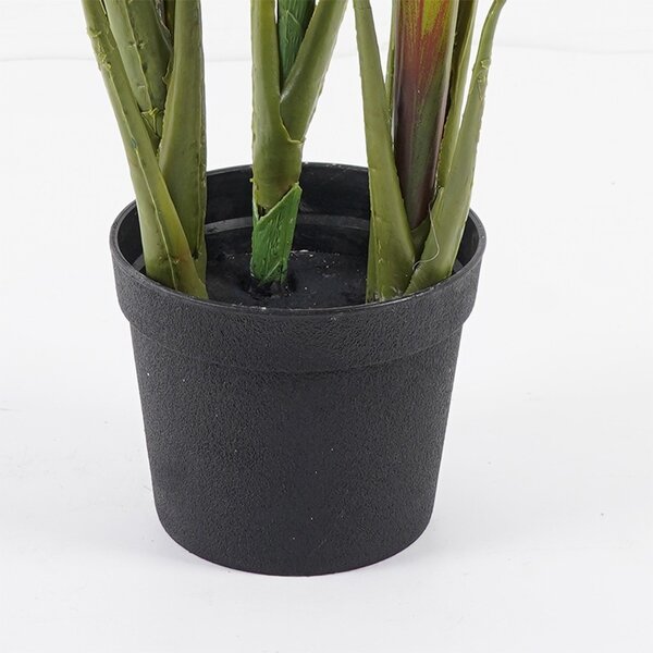 Διακοσμητικό φυτό με γλάστρα Cycas Πράσινο 55x55x80 cm