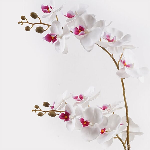 Διακοσμητικό φυτό με γλάστρα Orchid Λευκό 36x17x65 cm
