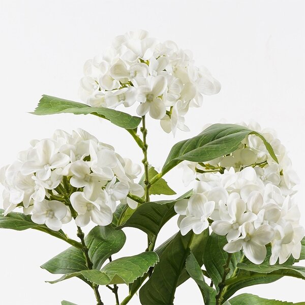 Διακοσμητικό φυτό με γλάστρα Hydrangea Πράσινο 35x35x50 cm