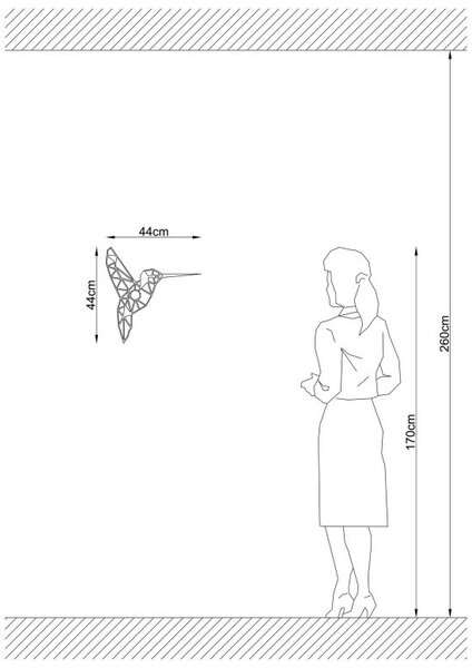 Φωτιστικό Τοίχου Pasarea Colibri 607-A, Μαύρη Σκιά