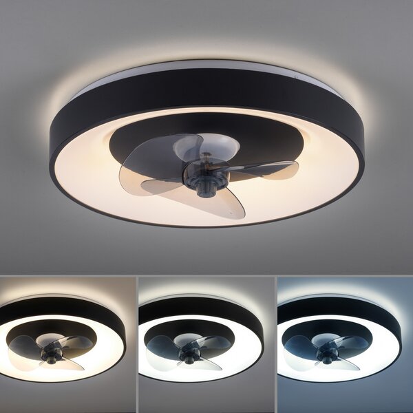 JUST LIGHT. GmbH Ανεμιστήρας οροφής με LED Venika, μαύρος CCT, τηλεχειριστήριο, Ø 48,6 cm, ρυθμιζόμενος, Μαύρο, Σαλόνι / τραπεζαρία, Μέταλλο, σύγχρονο