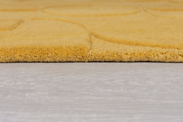 Χαλί Gigi Κίτρινο Ochre 160X230 cm, Flair Rugs