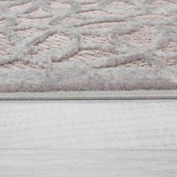 Χαλί Argento Ασημί 200X290 cm, Flair Rugs