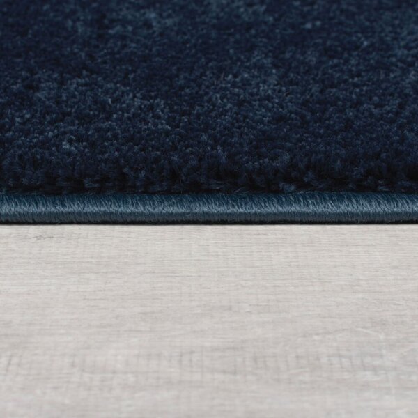 Χαλί Sheen Rug Bleumarin 120X170 cm, Flair Rugs