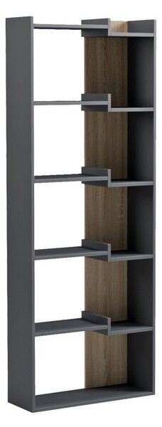 Βιβλιοθήκη Corpus, Ανθρακί, 22x62x162 cm