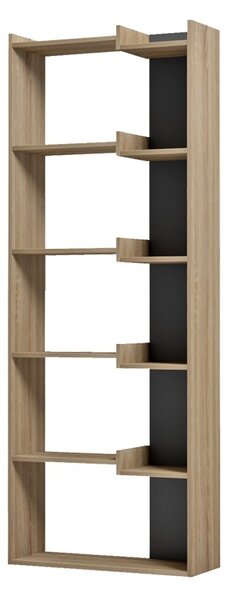 Βιβλιοθήκη Corpus, Sonoma, 22x62x162 cm