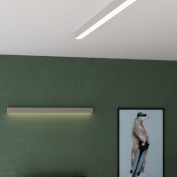 Φωτιστικό τοίχου LED Pinne, Γκρι, 4000K, 200x6x6 cm