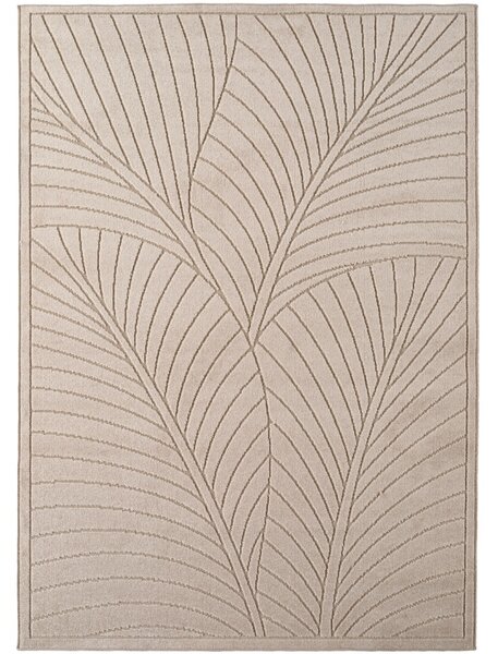 Covor Dreptunghiular NOVA V3 Bej 120x170 cm