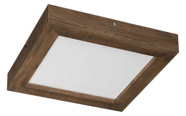 Brilagi-LED Φωτιστικό dimming WOODY FRAME LED/24W/230V δρυς 30x30 cm IP44 + RC