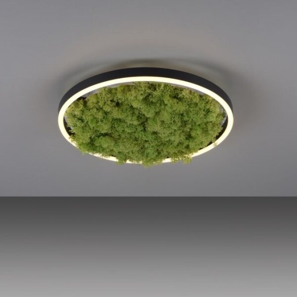 JUST LIGHT. 15391-66 - LED Dimmable φωτιστικό οροφής GREEN RITU LED/20W/230V