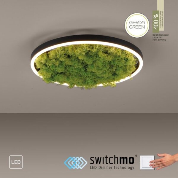 JUST LIGHT. 15391-66 - LED Dimmable φωτιστικό οροφής GREEN RITU LED/20W/230V