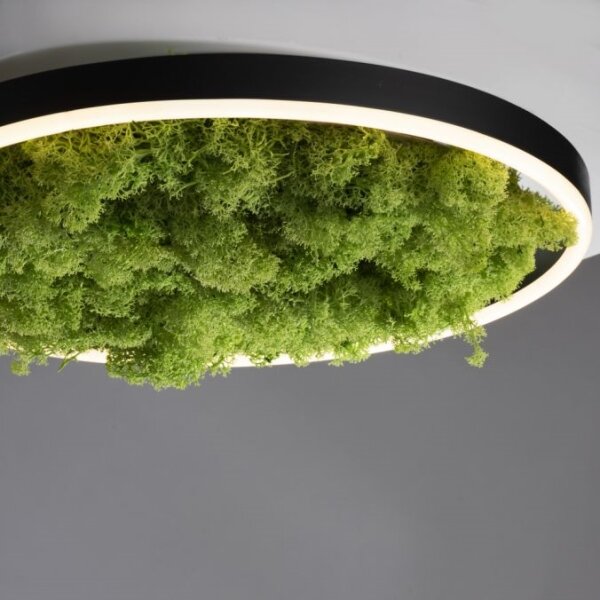 JUST LIGHT. 15391-66 - LED Dimmable φωτιστικό οροφής GREEN RITU LED/20W/230V