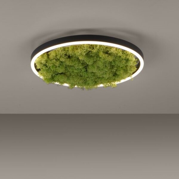 JUST LIGHT. 15391-66 - LED Dimmable φωτιστικό οροφής GREEN RITU LED/20W/230V