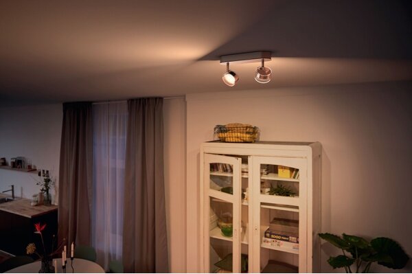 Philips 50562/11/P0-LED Φωτιστικό dimming MYLIVING WORCHESTER 2xLED/4,5W/230V