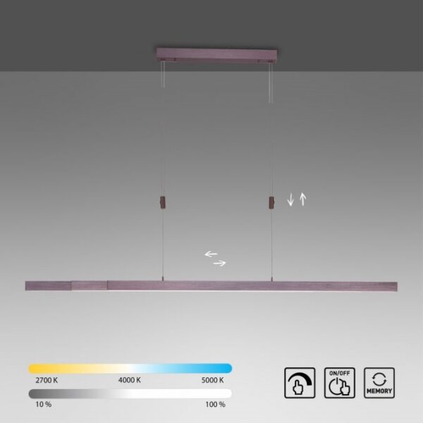 Paul Neuhaus 2568-24 - Led Dimmable κρεμαστό φωτιστικό οροφής ADRIANA LED/14W/230V