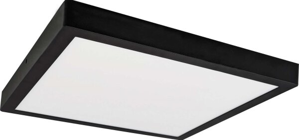 LED Φωτιστικό οροφής FENIX LED/24W/230V 3800K 29,8 cm