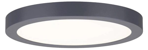 Paulmann 70988 - LED/22W Φωτιστικό οροφής ABIA 230V ανθρακί