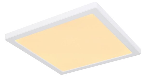 Globo 12380-24W - LED Φωτιστικό οροφής LASSE LED/24W/230V 3000/4000/6500K λευκό