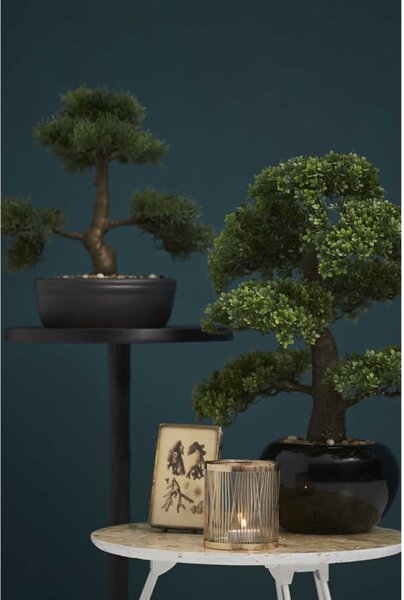 Emerald Τεχνητό Ficus Mini Μπονσάι Πράσινο 47 εκ. 420006