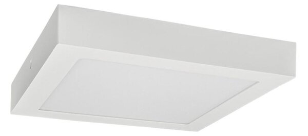 Φωτιστικό οροφής LED FENIX LED/24W/230V 3800K 29,8 cm