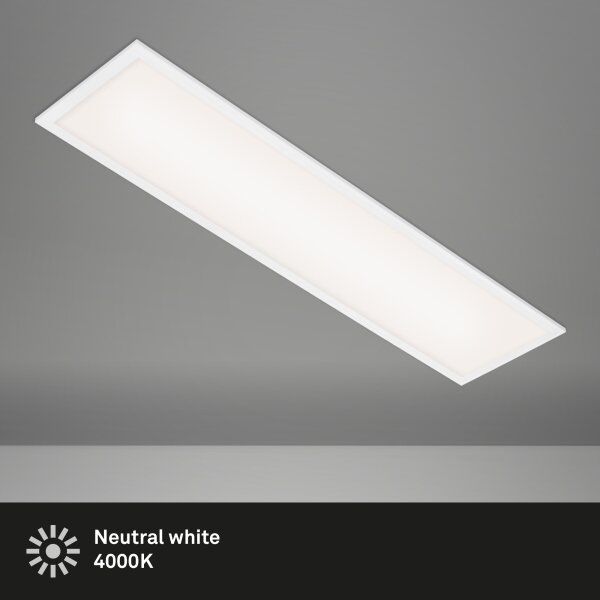 Briloner 7067-016 - Φωτιστικό οροφής LED SIMPLE LED/24W/230V