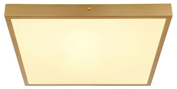 Globo 12382-22 - Φωτιστικό οροφής LED TIBEY LED/22W/230V 35x35 cm