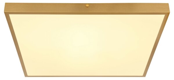 Globo 12382-30 - Φωτιστικό οροφής LED TIBEY LED/30W/230V 45x45 cm