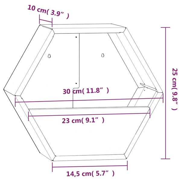 VidaXL Γλάστρες Τοίχου 2τεμ. Σκουρ. 30x10x25εκ Ατσάλι Σκληρ. στον Αέρα