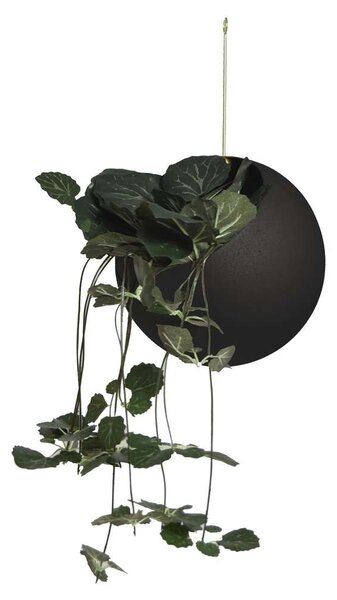 AYTM - Globe Hanging Flowerpot Ø17 Μαύρο AYTM