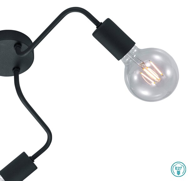 Φωτιστικό Οροφής Trio Lighting Diallo 608000332 Μαύρο Ματ