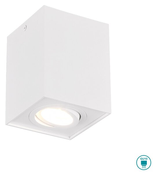 Σποτ Trio Lighting Biscuit 613000131 Λευκό