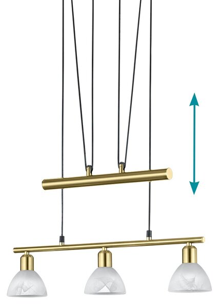 Κρεμαστό Φωτιστικό Trio Lighting Levisto 371010308 Χρυσό