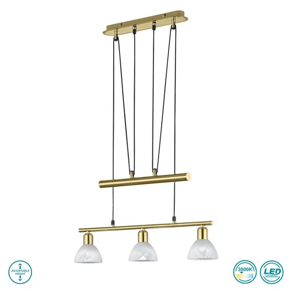 Κρεμαστό Φωτιστικό Trio Lighting Levisto 371010308 Χρυσό