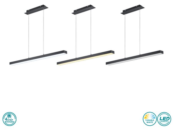 Φωτιστικό Κρεμαστό RL Lighting Agano R32801132 Μαύρο Ματ