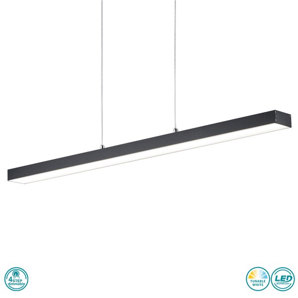 Φωτιστικό Κρεμαστό RL Lighting Agano R32801132 Μαύρο Ματ