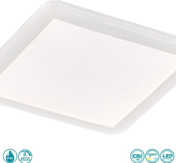 Φωτιστικό Οροφής Στεγανό RL Lighting Camillus R62931801 Λευκό