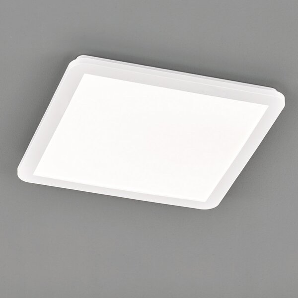 Φωτιστικό Οροφής Στεγανό RL Lighting Camillus R62932001 Λευκό