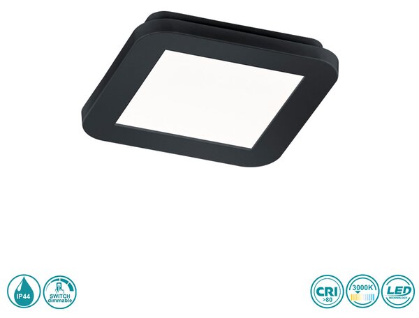 Φωτιστικό Οροφής Στεγανό RL Lighting Camillus R62931032 Μαύρο Ματ