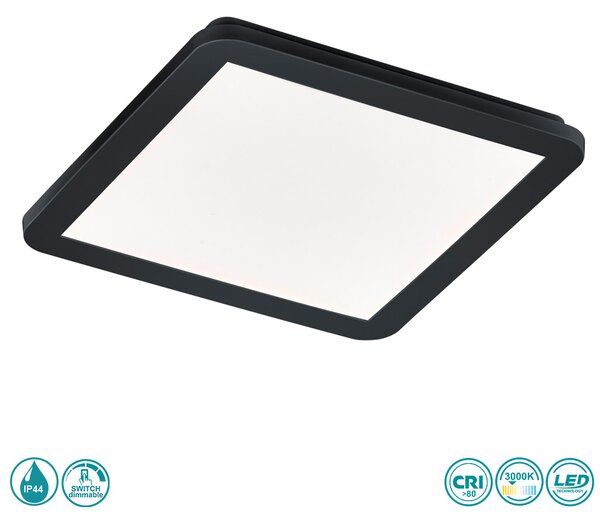 Φωτιστικό Οροφής Στεγανό RL Lighting Camillus R62931832