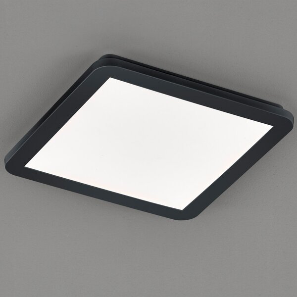 Φωτιστικό Οροφής Στεγανό RL Lighting Camillus R62931832