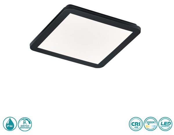 Φωτιστικό Οροφής Στεγανό RL Lighting Camillus R62931832